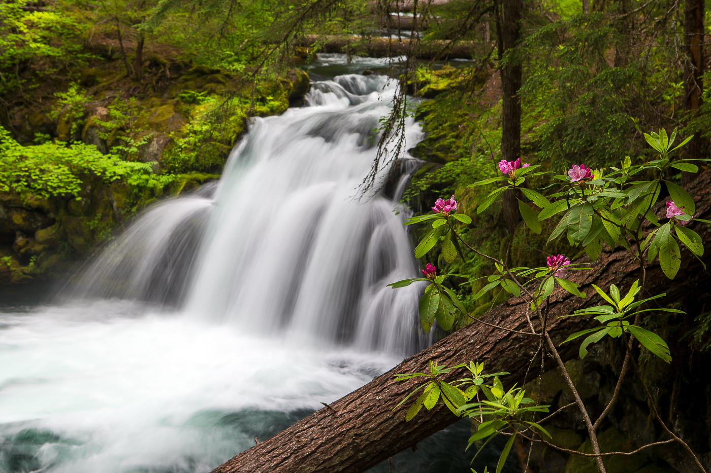 Watson Falls